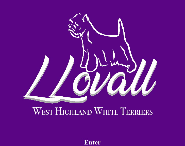 Logo_purple