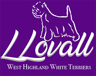 Logo_purple_webbanner1