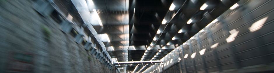 lorem lorem
